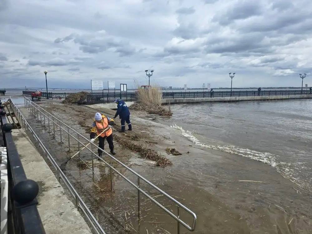 На затопленный новый пляж в Саратове причалил остров из камыша